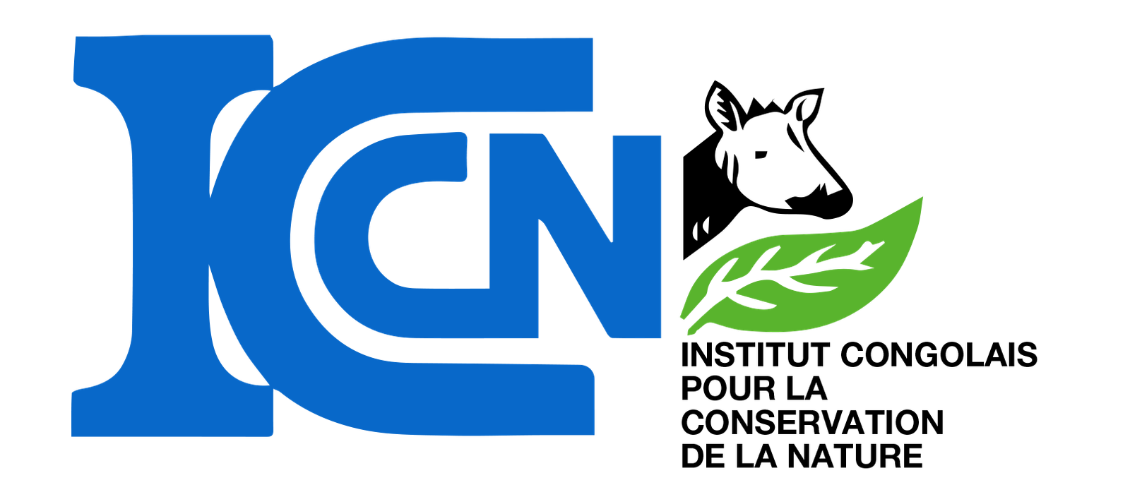 Logo Réserve Naturelle d'Itombwe (RNI)