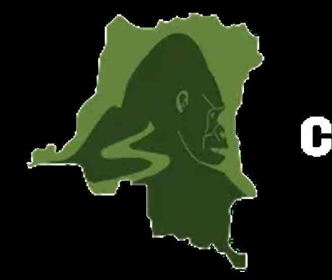 logo Congo rainforest fund