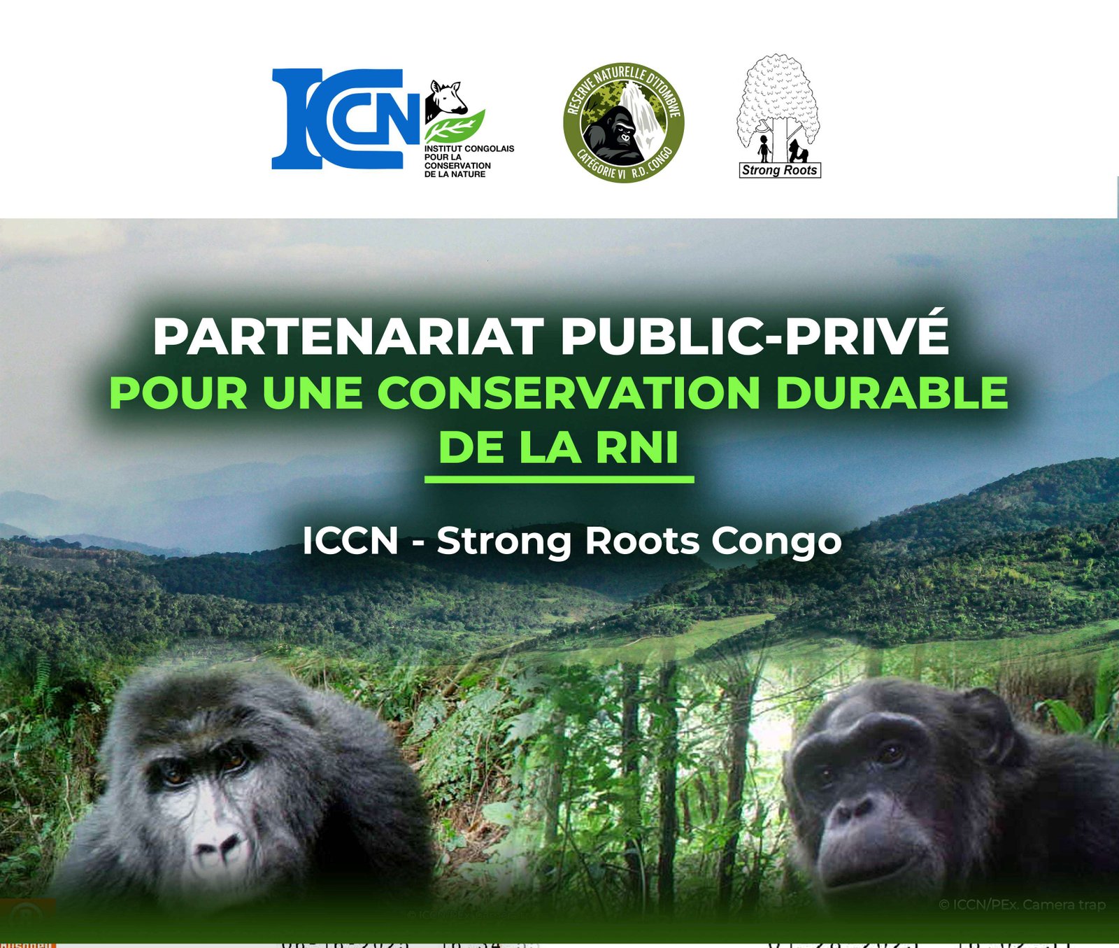 RNI : l’ICCN et Strong Roots Congo scellent un partenariat public-privé pour une conservation durable de la biodiversité